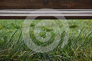 Closeup view of grass and a bench