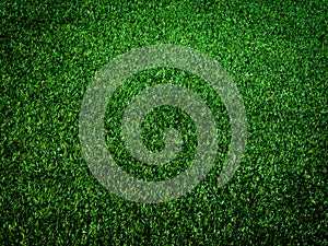 Closeup view of green grass soccer field background. Wallpaper for work and design