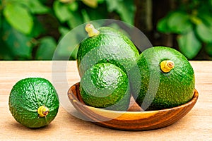 Closeup view group of fresh green avocadoes with stalk in wooden plate