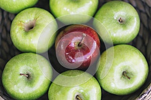 Closeup view of a healthy colorful green apples and one red apple in a basket and the tasty benefits of each. Be different