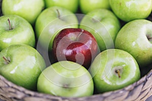 Closeup view of a healthy colorful green apples and one red apple in a basket and the tasty benefits of each. Be different