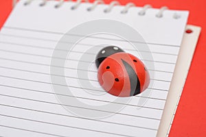 Closeup view of Ladybird on school notebook