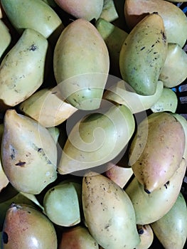Closeup view of Mango fruit kept well stocked for multipurpose use