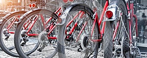 Closeup view many red city bikes parked in row at european city street rental parking sharing station or sale. Healthy