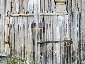 Closeup view of an old wooden barn wall and closed doors with rusty padlocks