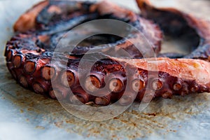 Closeup view over grilled octopus tentacles