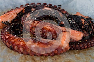 Closeup view over grilled octopus tentacles