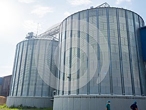 Closeup view of paddy rice storage steel silo in a milling plant. Agriculture produces storage technologies.