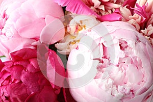 Closeup view of pink peony flowers