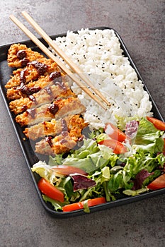 Closeup view of a plate of katsu chicken served with rice and vegetables salad. Vertical