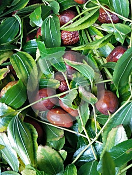 A closeup view of a quantity of jujubes fruits at a rional market stall