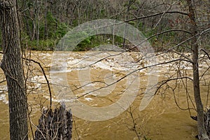 Closeup View of the Raging Rapids on the Maury River