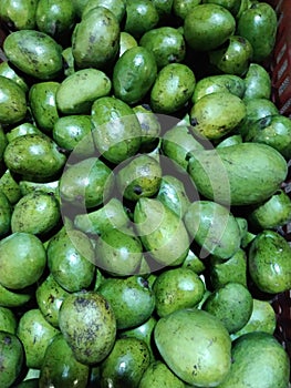 Closeup view of Raw Green Mango fruit kept well stocked for multipurpose use