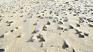 Close up view of ripples and shells in sand