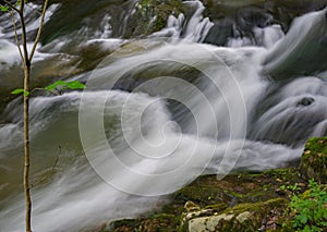 Closeup View of Roaring Run Creek, Jefferson National Forest, USA