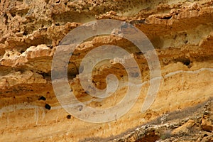 Closeup view of Sandstone cliffs on the banks of the Murray River near Waikerie in South Australia