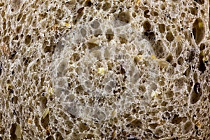 Closeup View of Slice of Seeded Wholegrain Bread