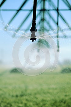 A closeup view of a sprinkler head on an irrigation system.