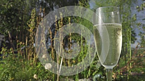 Closeup view to bubbles in a glass of sparkling wine champagne in green garden