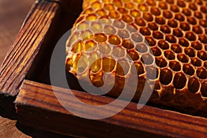Closeup view of uncapped filled honeycomb frame