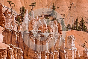 Closeup view of the white and orange sandstone formations of Bryce Canyon
