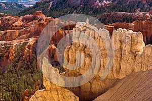 Closeup view of white sandstone formations in Bryce Canyon