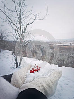 Closeup view of woman hand in gloves holding white snow with red ripe hawthorn berries. Winter seasonal natural healthy fruits