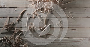 Closeup view of wood sawdust in carpenter workshop