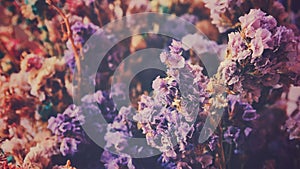 Closeup vintage dry purple flowers