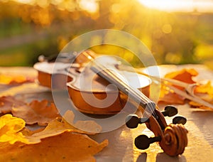 Closeup of a violin amongst golden autumn fallen leaves