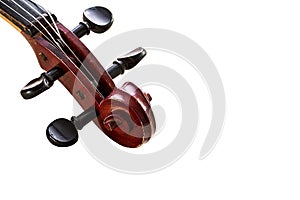 Closeup violin head on white background