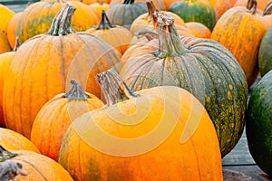 Closeup of wagon of pumpkins in variety of shapes, sizes and col