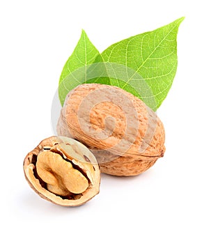 Closeup walnut with leaves.