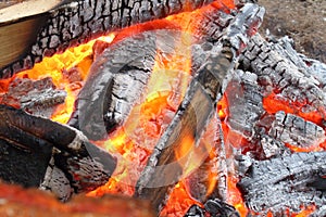 A closeup of a warm campfire