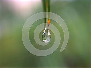 Closeup water drops on green leaf with blurred background ,macro image ,dew on nature leaves , droplets in forest