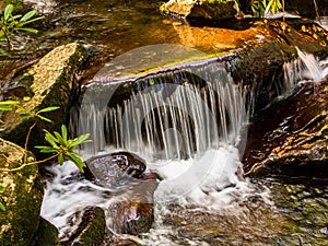 Closeup of waterfall with silky water and rocks in the foreground in the forest in the Great Smoky Mountains National Park.