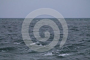 Closeup waves Key Biscayne sea photo
