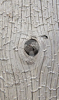 Closeup of weathered barked log