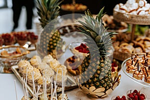 Closeup of a wedding candybar with cakes and fruits