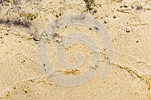 Closeup of wet colorfull sand pattern of a beach