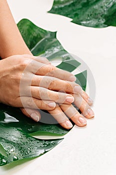 Closeup of wet female hands with moisturized oily skin