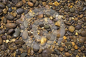 Closeup wet river stone background, natural concept