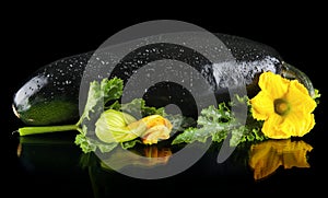 Closeup wet zucchini with flower on black background