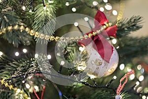 Closeup white ball red ribbon hanging merry christmas tree. New year decoration