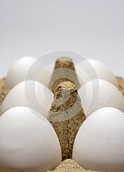Closeup of white eggs in cardboard package