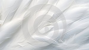 Closeup White Feathers Background for Peace, Calm, and Spirituality AI Generated