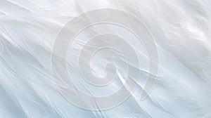 Closeup White Feathers Background for Peace, Calm, and Spirituality AI Generated