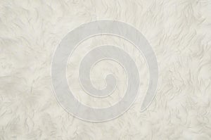 Closeup of white fluffy fur texture or pattern background