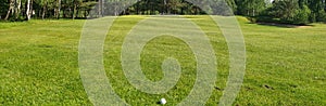 Closeup of white golf ball and club. Human feet on green grass