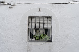 Closeup of a white wall with a window with bars and plants on the windowsill